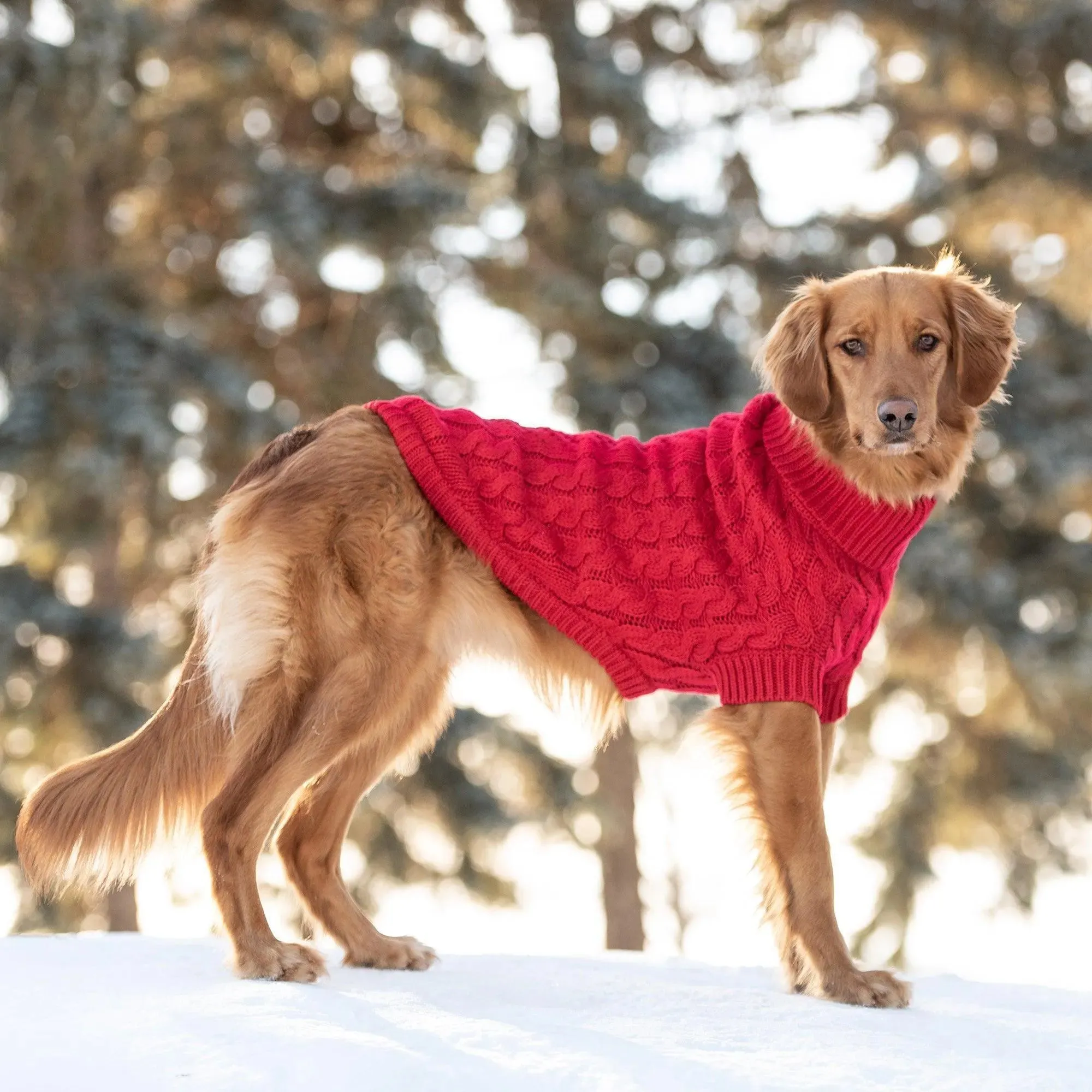 Chic Cozy Red Chalet Dog Sweater