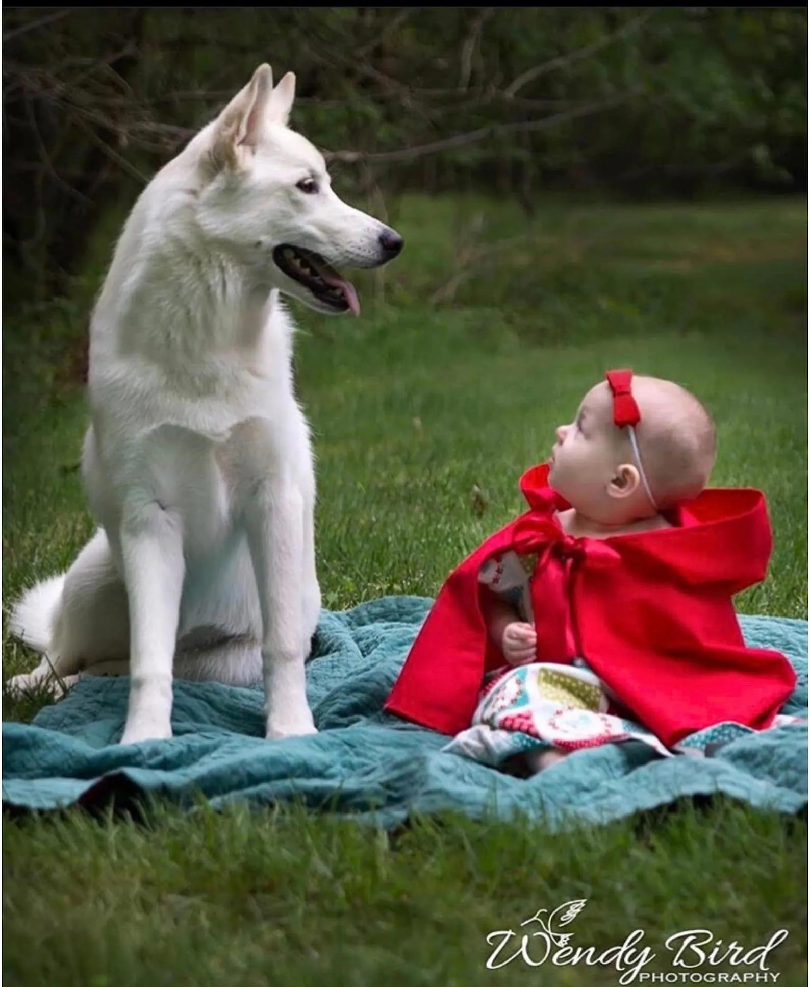 Cozy Red Cape for Girls