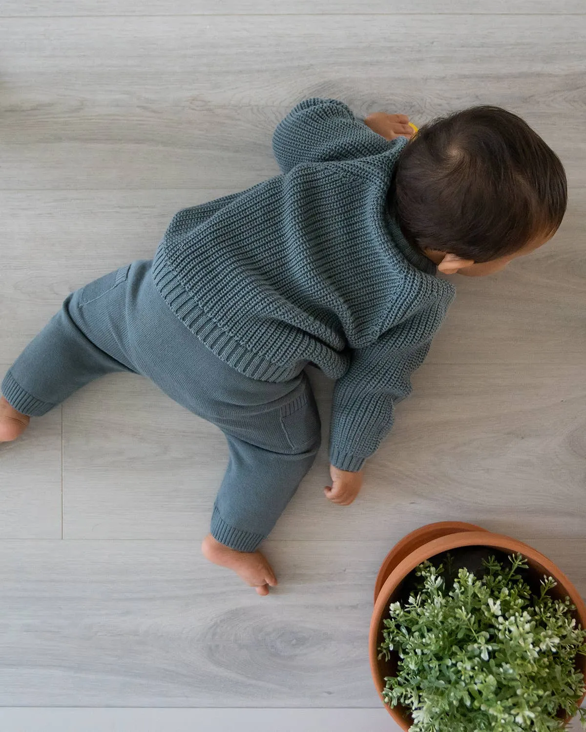 Lion Applique Baby Pullover Sweater Knit (Organic Cotton): Teal Blue